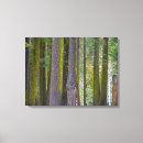 Buscar troncos lienzos Paisaje