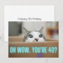 Buscar caja de cartón tarjetas Gatito