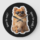 Buscar perro pomerania relojes de pared Divertido