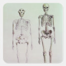 Buscar hombre de las cavernas pegatinas Evolución