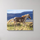 Buscar archer posters Granja
