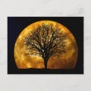 Buscar noche de la luna postales 4 º luna