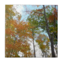 Buscar hojas de otoño azulejos 1 º caída