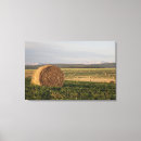 Buscar bala arte Agricultura