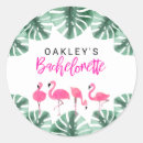 Buscar pink flamingo pegatinas Flamencos rosados