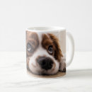 Buscar perro de cocker spaniel tazas Adorable
