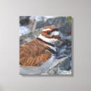Buscar rocas lienzos Fotografía de naturaleza
