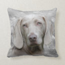 Buscar weimaraner cojines Amante del perro