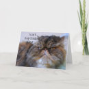 Buscar persian tarjetas General y unisex