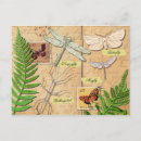 Buscar dibujo libélula postales Insectos