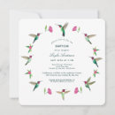 Buscar colibríes invitaciones Pájaro