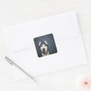 Buscar alaskan malamute pegatinas Perro de nieve