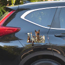 Buscar alpaca pegatinas 1 ª presa