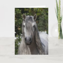 Buscar manga larga tarjetas Raza