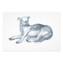 Buscar dibujos de lápiz del perro posters Animales