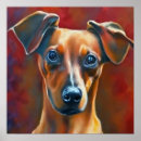 Buscar pinscher posters Raza