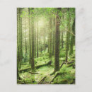 Buscar árbol postales Paisaje