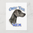 Buscar weimaraner postales Raza