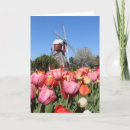 Buscar molino de viento holandés tarjetas Flor