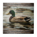 Buscar duck azulejos Pato
