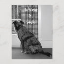 Buscar perros postales Navidades