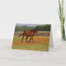 Buscar equitación tarjetas Animal