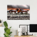 Buscar caballo blanco posters Hermoso