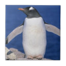 Buscar pingüino azulejos Único
