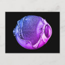 Buscar béisbol postales Raro