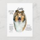 Buscar sable postales Collie