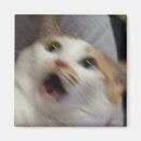 Buscar sorprendido imanes Gato
