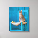 Buscar gatos divertidos lienzos 9 º gata