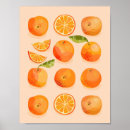Buscar mandarina posters Naranja