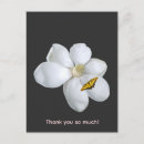 Buscar magnolia postales Botánico