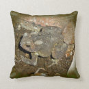 Buscar toad cojines Anfibio
