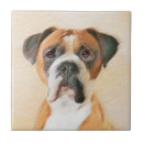 Buscar boxer azulejos Boxeador