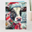 Buscar vaca de holstein tarjetas Vacas
