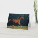 Buscar correr tarjetas Animal