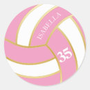 Buscar voleibol pegatinas Entrenador