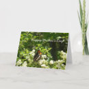 Buscar dia madres hermana Mariposa