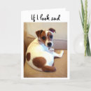 Buscar jack russell terrier tarjetas Lindo
