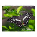 Buscar mariposas calendarios Monarca