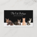 Buscar gatos tarjetas de visita Felino