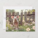 Buscar cerdo lindo postales General y unisex