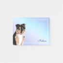 Buscar shepherd Cachorro