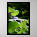 Buscar secreto posters Flores