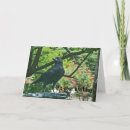 Buscar crow tarjetas Naturaleza