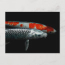 Buscar dos pescados General y unisex