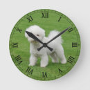 Buscar frise del bichon relojes de pared Para todos