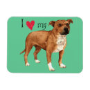 Buscar raza imanes Raza de bulto